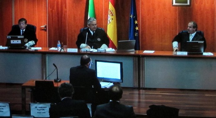 Uno De Los Investigadores De La Udyco Declara En El Juicio Del Caso 'Malaya'