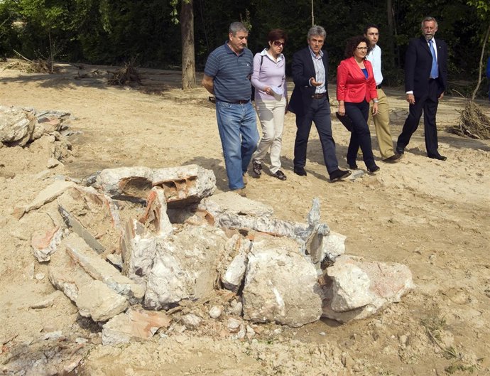 Daños En Cebolla (Toledo) Por Las Lluvias