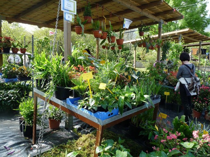 Landareak Protagonista Iturrarango Lorategi Botanikoan