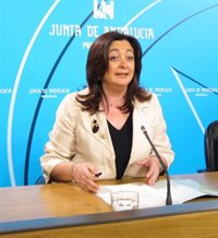 Junta afirma que cada día está más claro que "no hay una vinculación entre el fraude de los ERE y el PSOE"