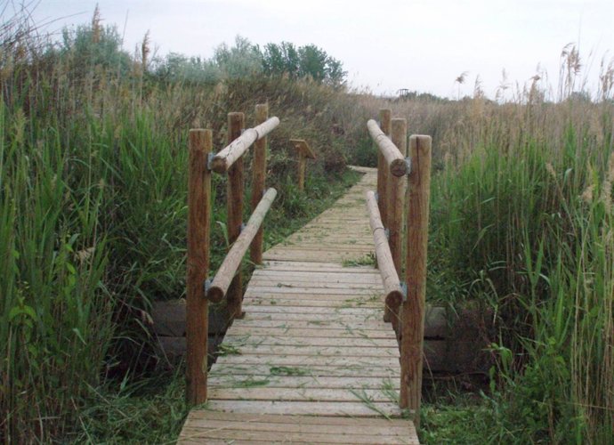 Ojos De Pontil En Rueda De Jalón