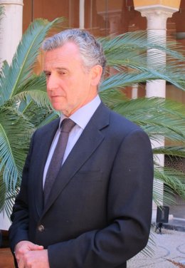 Consejero De Cultura, Paulino Plata