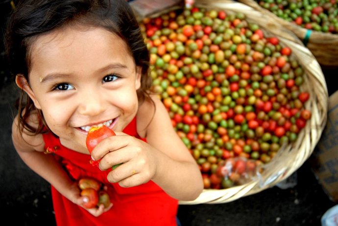 Comercio justo-América latina-agricultura