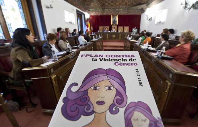 Consejo De La Mujer De La Diputación De Valladolid