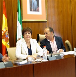 La Consejera De Obras Públicas Y Vivienda, Josefina Cruz