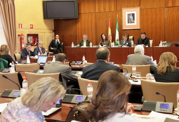 Mar Moreno Comparece En La Comisión De Presidencia Del Parlamento