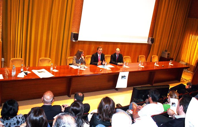 Pingarrón Y El CREA