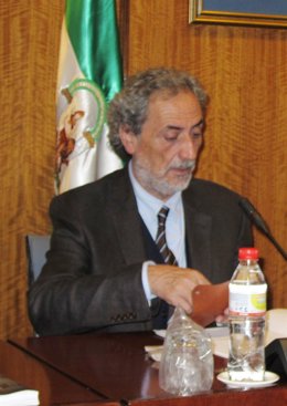 El Defensor Del Pueblo Andaluz, José Chamizo, Hoy En El Parlamento