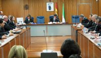 El presidente de la Audiencia y abogados de 'Ballena Blanca' defienden los conocimientos del Tribunal