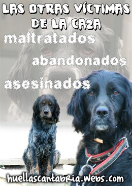 Cartel Perros Maltratados