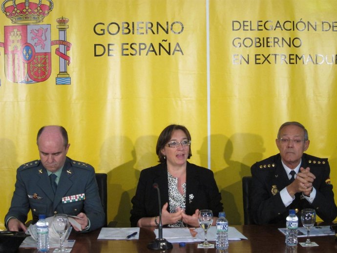 Presentación Del Plan Mayor