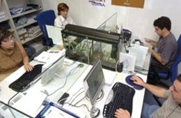 Empleados En Una Oficina De La Administración.