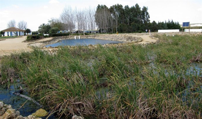 Humedales Artificales En Planta Experimental Del Centa En Carrión