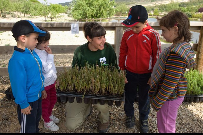 Los Niños Plantan Más De 700 Árboles En Sendaviva Durante El Fin De Semana.