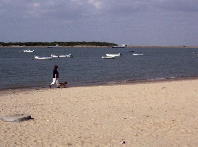 Río Guadalquivir a su paso por Sanlúcar de Barrameda (Cádiz)