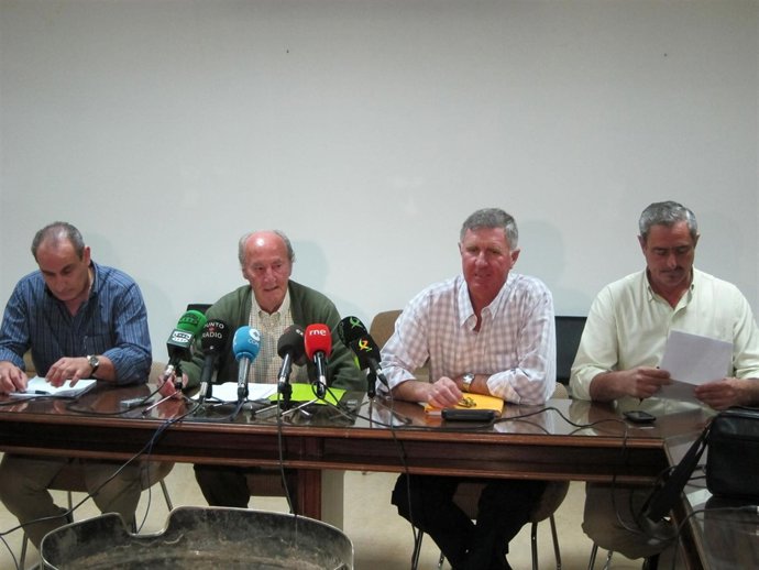 Sector Aceite De Oliva