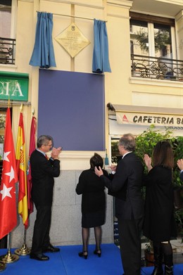 Descubrimiento De La Placa