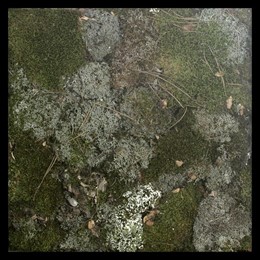 Obra De Lázaro Vela