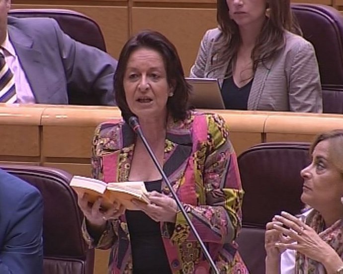 La polémica surge en el pleno del Senado