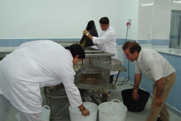 Centro De Expedición De La Coquina De Doñana