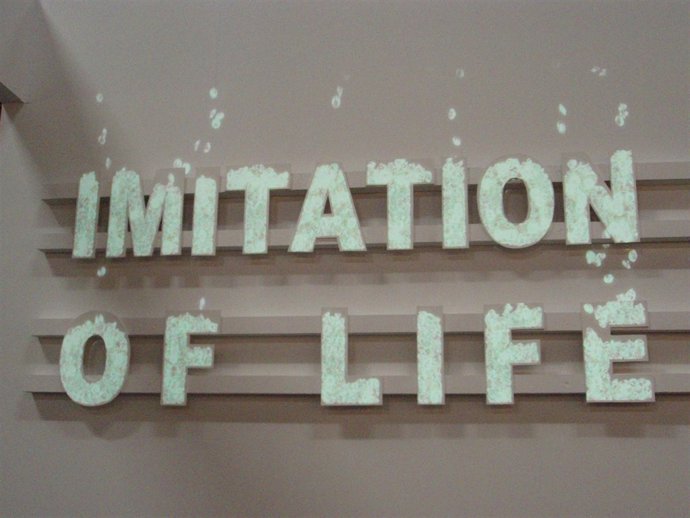 Obra Adquirida De Manolo Bautista 