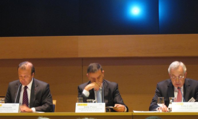 Mesquida, Puxeu Y Solís