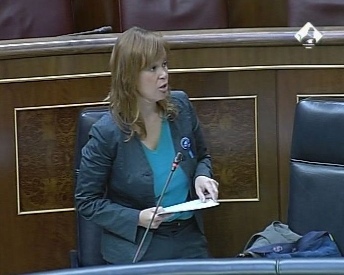 Pajín: "El Gobierno es contrario al copago"