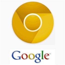 Logo Google Canary