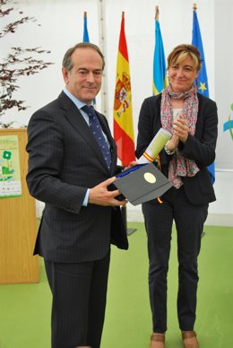 El Director Economico-Financiero Y De Patrimonio De Feve