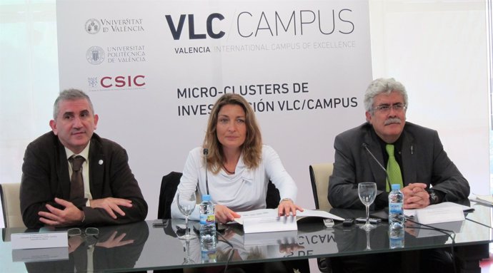 Presentación De Los Microclusters De Investigación De VLC/Campus