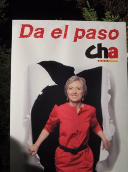 Cartel De La Campaña De CHA Para Las Elecciones Municipales 2011