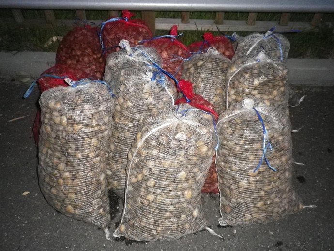 UN OPERATIVO NA FRONTEIRA CON PORTUGAL SÁLDASE CO COMISO DE MÁIS DE 2.000 QUILOS