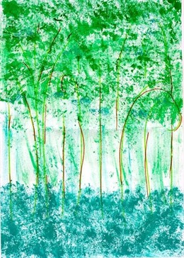 Dibujo Ganador Del Premio 'Dibuja Tu Bosque'