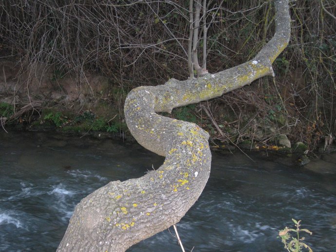 Río Piedra, A Su Paso Por Nuévalos