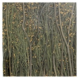 Composición De Lárazo Vela