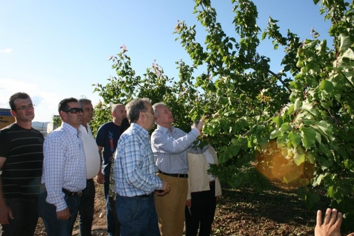 El Presidente De La Comunidad Visita Cultivos Afectados Por El Granizo En Pliego