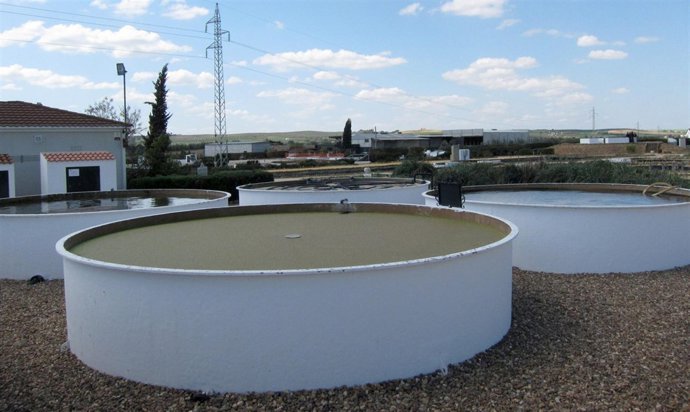 Sistema De Depuración Natural En Planta Experimental Del Centa