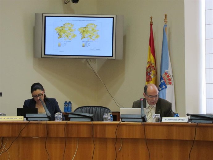 El Vicerrecto De La USC, Francisco Durán, En Comisión Parlamentaria 