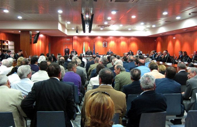 Acusados En El Juicio Del Caso 'Malaya'