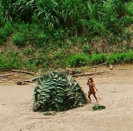 Indigena No Contactado Survival