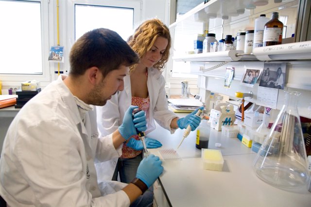 Investigadores En Un Laboratorio De La Universidad De Jaén