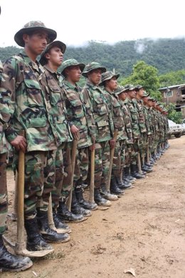 Militares Bolivianos Dedicados A La Erradicación De Cultivos De Coca.