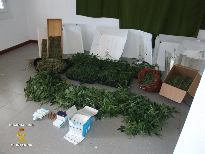 Droga Incautada Por La Guardia Civil En Estella.