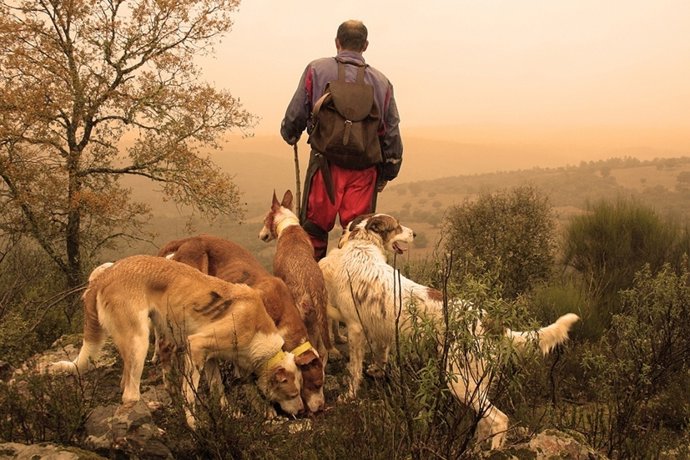 'Monteando', Fotografía Ganadora Del Concurso De La RFEC