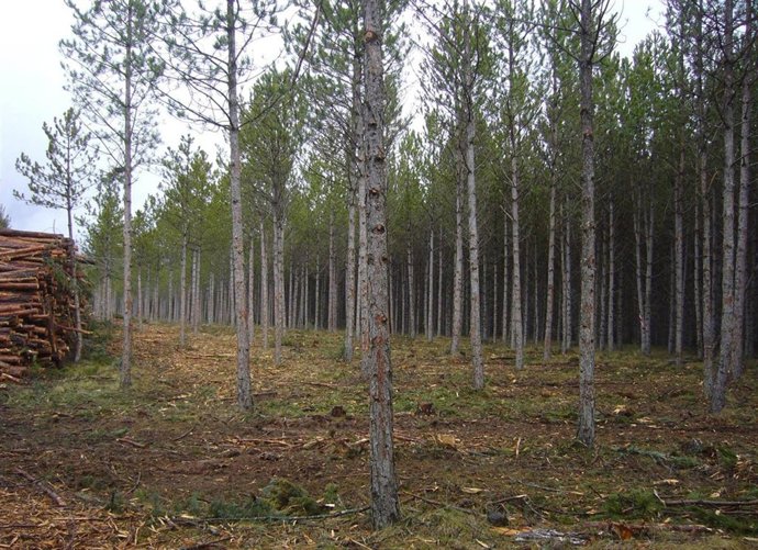 Entorno Del Embalse De Yesa