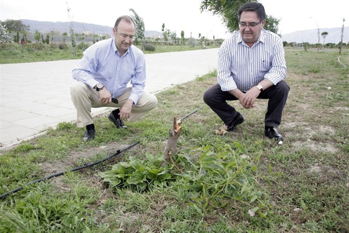 El Alcalde De Almería Y Edil De Medio Ambiente En El Parque Del Andarax