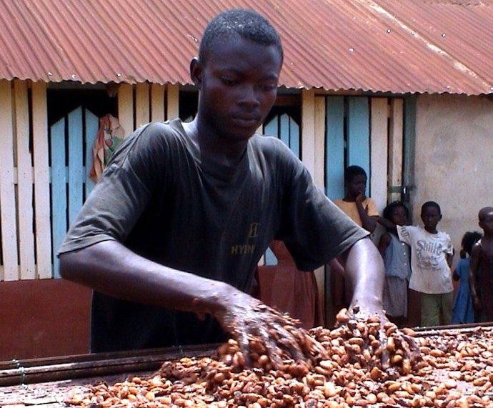 Organización Africana Kuapa Kokko 