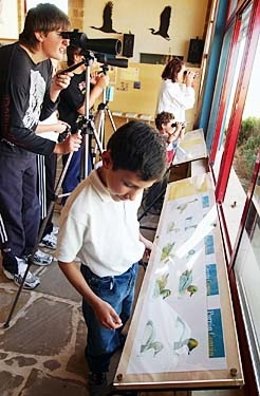 Observatorio De Aves De Pitillas.