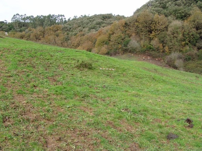 Prados. Rural, Ganadería, 
