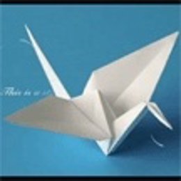 El Concurso De Micro Films 2010/11 